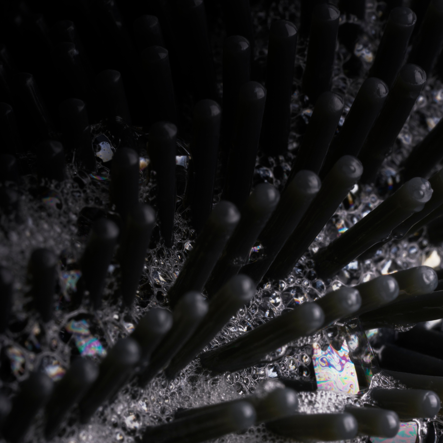 2_31f7e759-ba5b-4535-895a-07b6ac96eda1.png